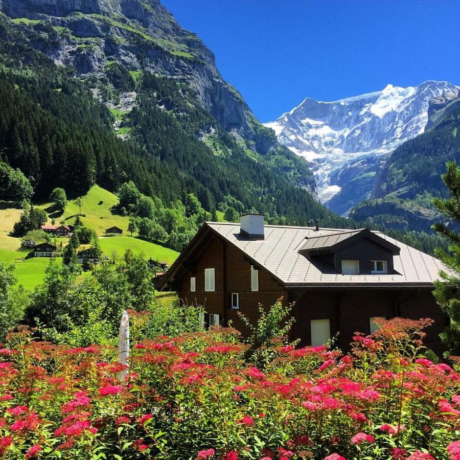 Chalet Pfingsteggblick Гріндельвальд Екстер'єр фото